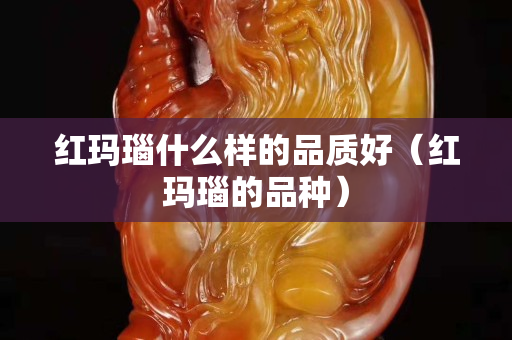 红玛瑙什么样的品质好（红玛瑙的品种）