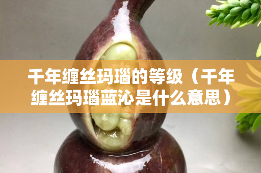 千年缠丝玛瑙的等级（千年缠丝玛瑙蓝沁是什么意思）