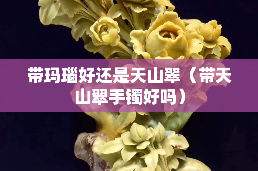 带玛瑙好还是天山翠（带天山翠手镯好吗）
