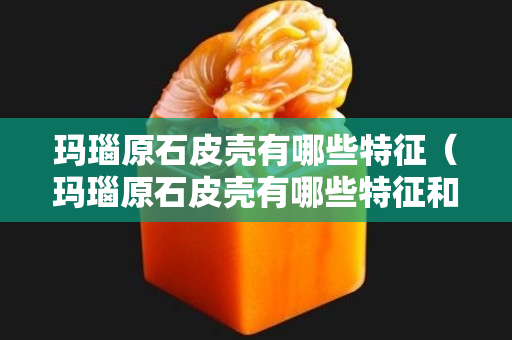玛瑙原石皮壳有哪些特征（玛瑙原石皮壳有哪些特征和用途）