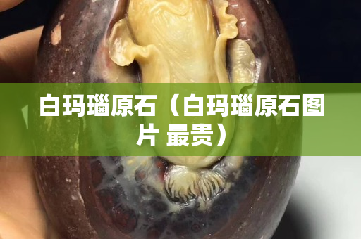 白玛瑙原石（白玛瑙原石图片 最贵）