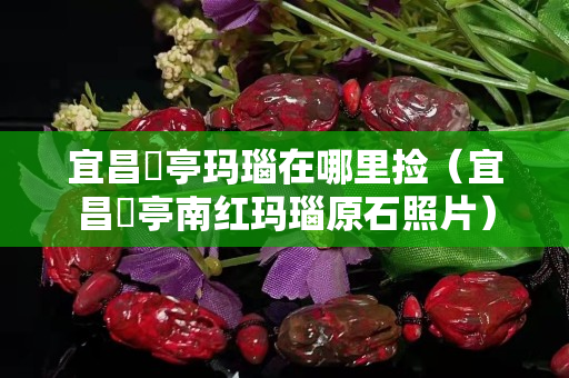 宜昌猇亭玛瑙在哪里捡（宜昌猇亭南红玛瑙原石照片）