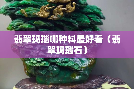 翡翠玛瑙哪种料最好看（翡翠玛瑙石）