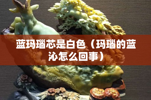 蓝玛瑙芯是白色（玛瑙的蓝沁怎么回事）