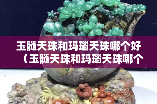 玉髓天珠和玛瑙天珠哪个好（玉髓天珠和玛瑙天珠哪个好一些）