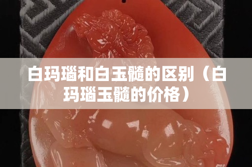 白玛瑙和白玉髓的区别（白玛瑙玉髓的价格）