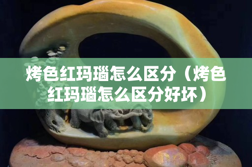 烤色红玛瑙怎么区分（烤色红玛瑙怎么区分好坏）