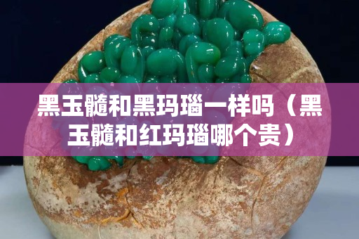 黑玉髓和黑玛瑙一样吗（黑玉髓和红玛瑙哪个贵）