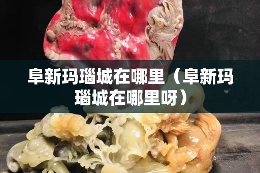 阜新玛瑙城在哪里（阜新玛瑙城在哪里呀）
