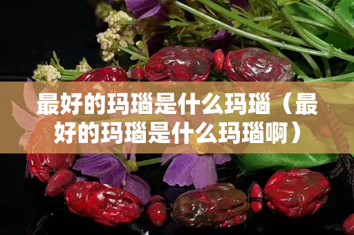 最好的玛瑙是什么玛瑙（最好的玛瑙是什么玛瑙啊）