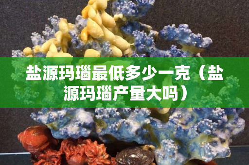 盐源玛瑙最低多少一克（盐源玛瑙产量大吗）