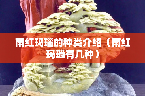 南红玛瑙的种类介绍（南红玛瑙有几种）