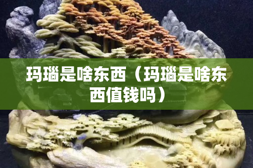 玛瑙是啥东西（玛瑙是啥东西值钱吗）