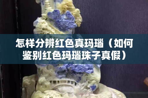 怎样分辨红色真玛瑙（如何鉴别红色玛瑙珠子真假）