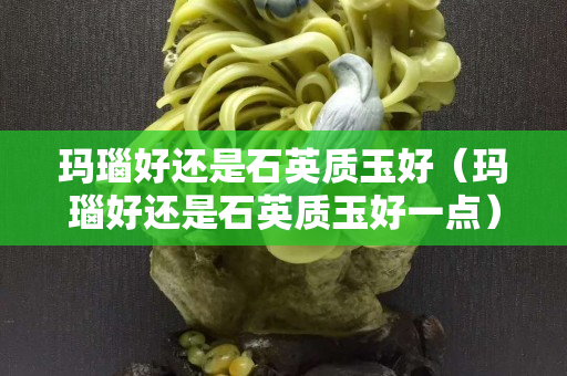 玛瑙好还是石英质玉好（玛瑙好还是石英质玉好一点）