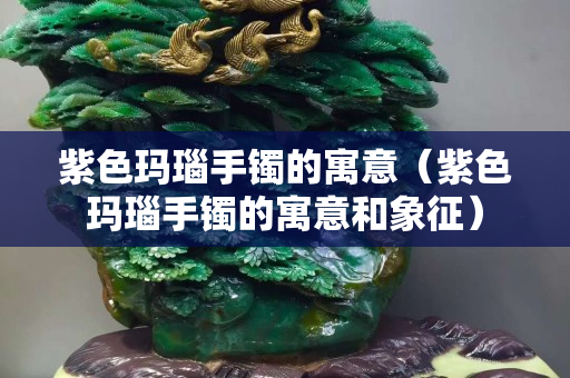 紫色玛瑙手镯的寓意（紫色玛瑙手镯的寓意和象征）