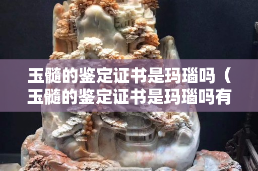 玉髓的鉴定证书是玛瑙吗（玉髓的鉴定证书是玛瑙吗有假的吗）