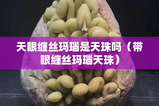 天眼缠丝玛瑙是天珠吗（带眼缠丝玛瑙天珠）