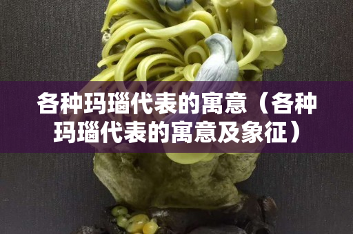 各种玛瑙代表的寓意（各种玛瑙代表的寓意及象征）