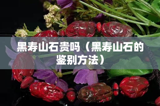 黑寿山石贵吗（黑寿山石的鉴别方法）