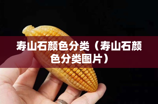 寿山石颜色分类（寿山石颜色分类图片）