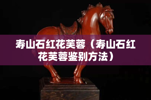 寿山石红花芙蓉（寿山石红花芙蓉鉴别方法）