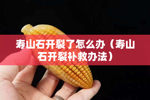 寿山石开裂了怎么办（寿山石开裂补救办法）