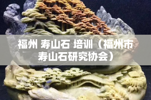 福州 寿山石 培训（福州市寿山石研究协会）