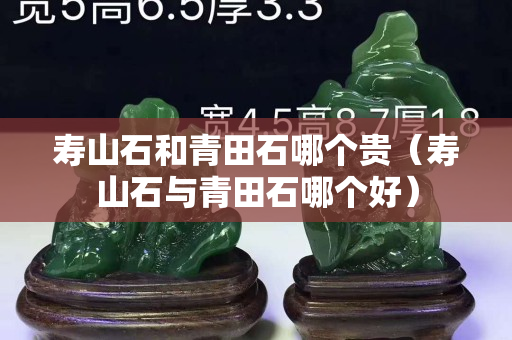 寿山石和青田石哪个贵（寿山石与青田石哪个好）
