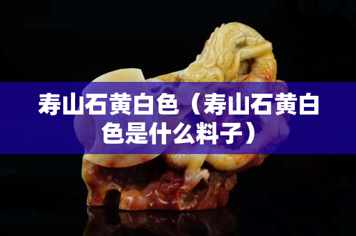 寿山石黄白色（寿山石黄白色是什么料子）