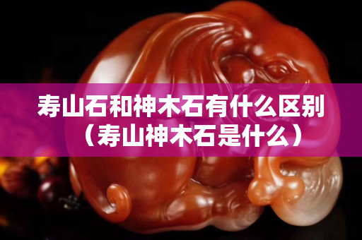 寿山石和神木石有什么区别（寿山神木石是什么）