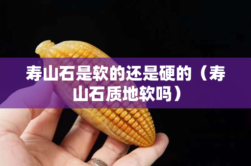 寿山石是软的还是硬的（寿山石质地软吗）