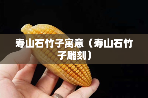 寿山石竹子寓意（寿山石竹子雕刻）