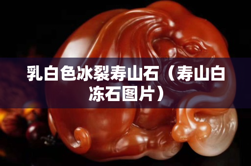 乳白色冰裂寿山石（寿山白冻石图片）