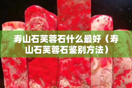 寿山石芙蓉石什么最好（寿山石芙蓉石鉴别方法）