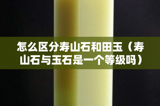 怎么区分寿山石和田玉（寿山石与玉石是一个等级吗）