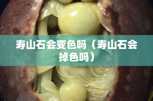 寿山石会变色吗（寿山石会掉色吗）