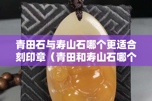 青田石与寿山石哪个更适合刻印章（青田和寿山石哪个做印章好）