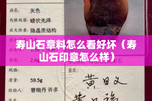 寿山石章料怎么看好坏（寿山石印章怎么样）