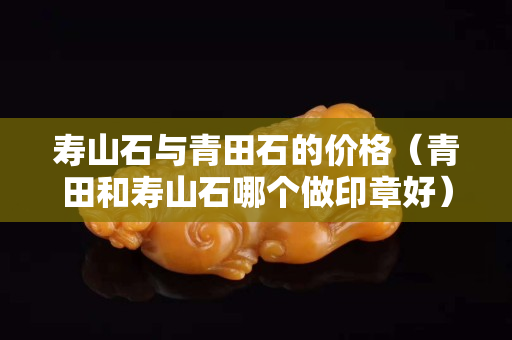 寿山石与青田石的价格（青田和寿山石哪个做印章好）