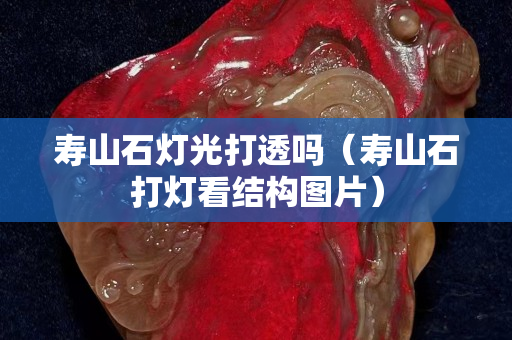 寿山石灯光打透吗（寿山石打灯看结构图片）