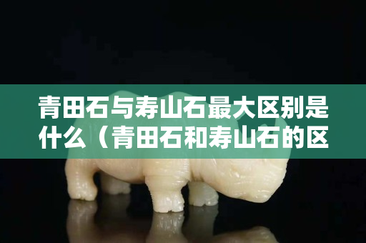 青田石与寿山石最大区别是什么（青田石和寿山石的区别）
