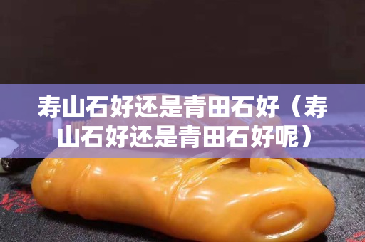 寿山石好还是青田石好（寿山石好还是青田石好呢）