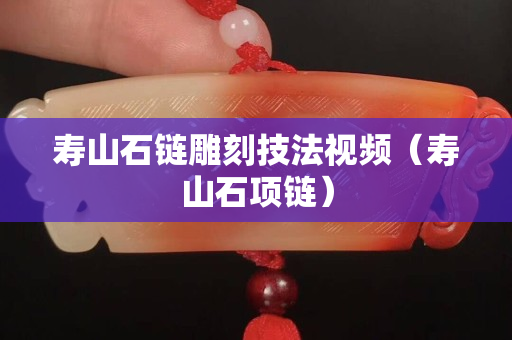 寿山石链雕刻技法视频（寿山石项链）