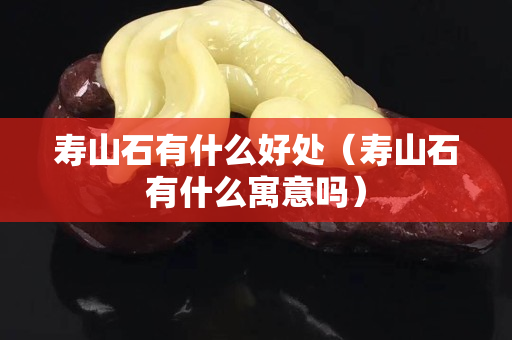 寿山石有什么好处（寿山石有什么寓意吗）