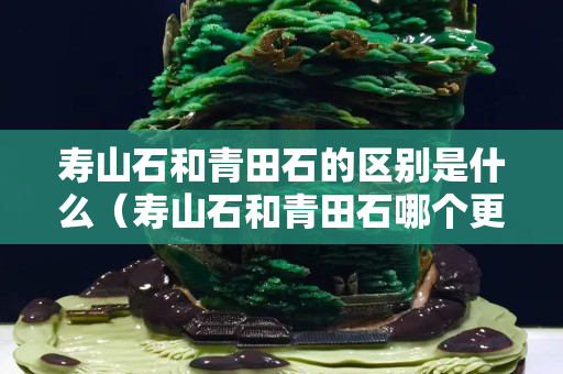 寿山石和青田石的区别是什么（寿山石和青田石哪个更有收藏价值）