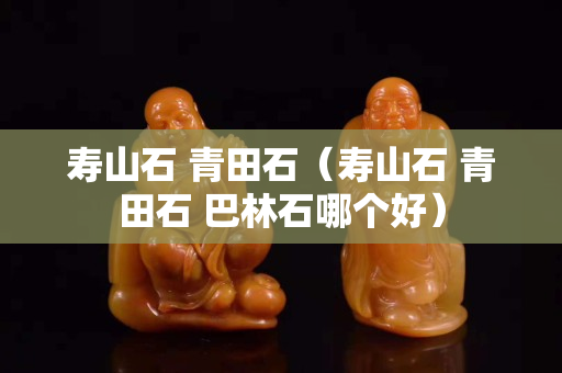 寿山石 青田石（寿山石 青田石 巴林石哪个好）