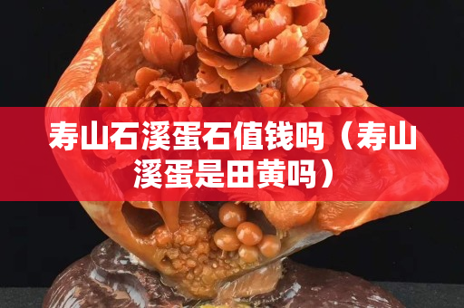 寿山石溪蛋石值钱吗（寿山溪蛋是田黄吗）