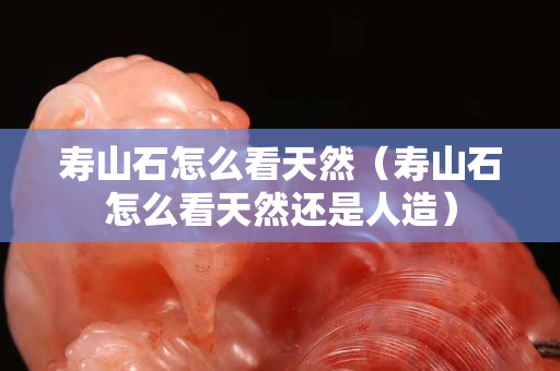 寿山石怎么看天然（寿山石怎么看天然还是人造）
