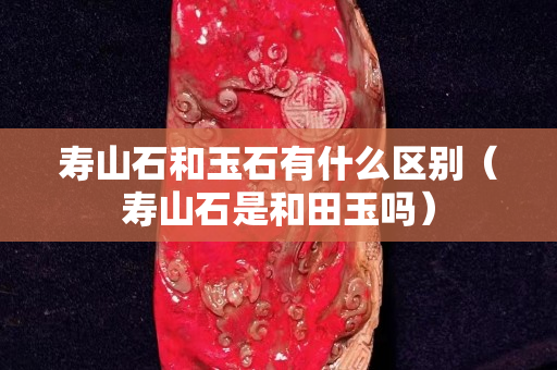 寿山石和玉石有什么区别（寿山石是和田玉吗）